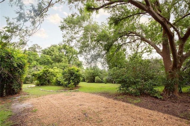 1878 Blalock Ave, Waycross, GA 31503 - view of green lawn
