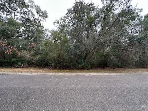 Listing photo 3 for 203 Cobia Ln, Saint Marys GA 31558