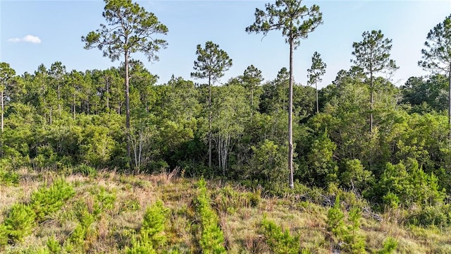 0 Foxwood Rd, Nahunta, GA 31553