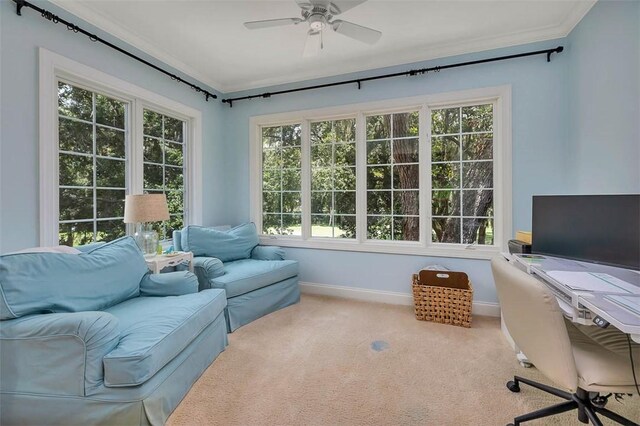 159 Limeburn Trl, Saint Simons Island, GA 31522 - photo 10