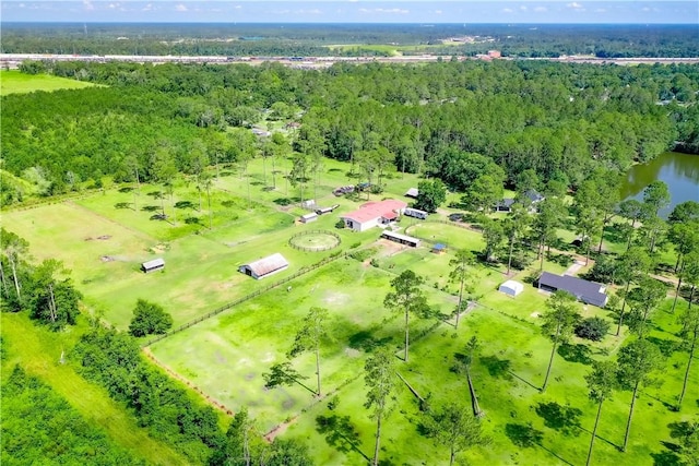 2204 Gibbs St, Waycross, GA 31503 - drone / aerial view of a forest