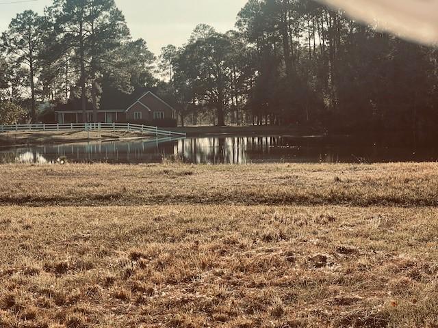 2204 Gibbs St, Waycross, GA 31503 - view of yard featuring a water view