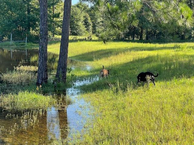 2204 Gibbs St, Waycross, GA 31503 - water view