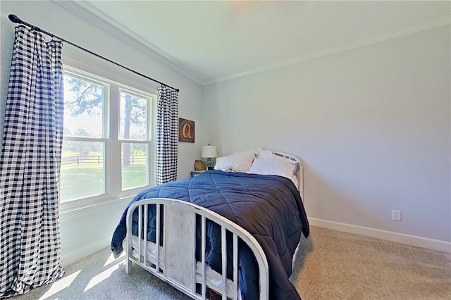 2204 Gibbs St, Waycross, GA 31503 - bedroom with carpet floors, crown molding, and multiple windows