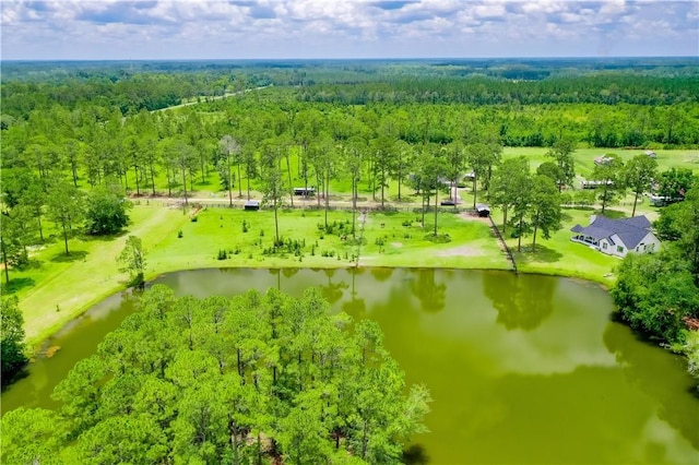2204 Gibbs St, Waycross, GA 31503 - aerial view of a nearby body of water