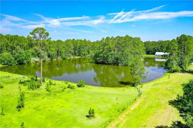 2204 Gibbs St, Waycross, GA 31503 - water view featuring a forest