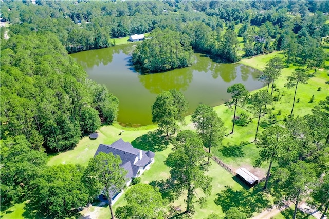 2204 Gibbs St, Waycross, GA 31503 - bird's eye view of a large body of water