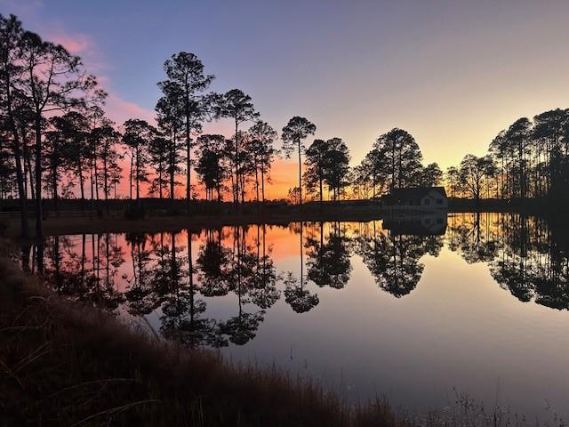2204 Gibbs St, Waycross, GA 31503 - water view