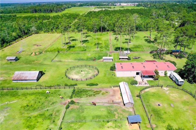 2204 Gibbs St, Waycross, GA 31503 - drone / aerial view of a forest