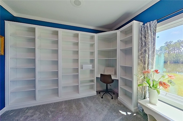 2204 Gibbs St, Waycross, GA 31503 - unfurnished office featuring carpet floors and ornamental molding