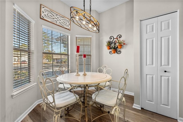 dining room with hardwood / wood-style floors