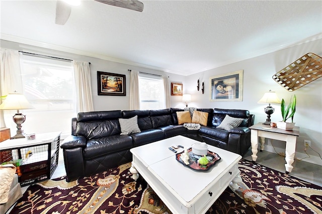 living area with a ceiling fan and ornamental molding