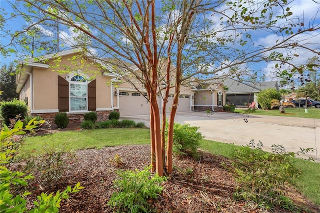 view of front of house featuring a front lawn