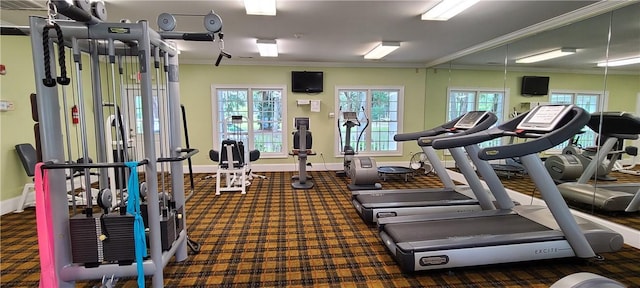 2115 Marshview Dr, Shellman Bluff, GA 31331 - workout area with ornamental molding and carpet floors