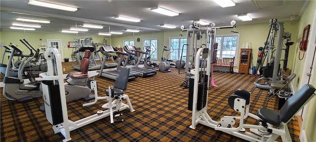 2115 Marshview Dr, Shellman Bluff, GA 31331 - workout area featuring carpet flooring