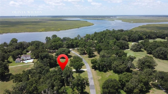 2115 Marshview Dr, Shellman Bluff, GA 31331 - aerial overview of property's location featuring a large body of water