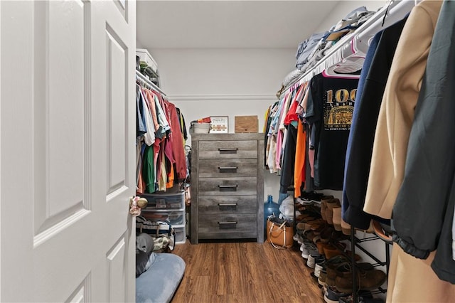 825 Red Hawk Dr, Waynesville, GA 31566 - walk in closet with wood finished floors