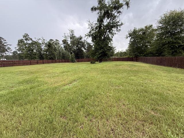 70 Harmonees Way, Ludowici, GA 31316 - view of yard