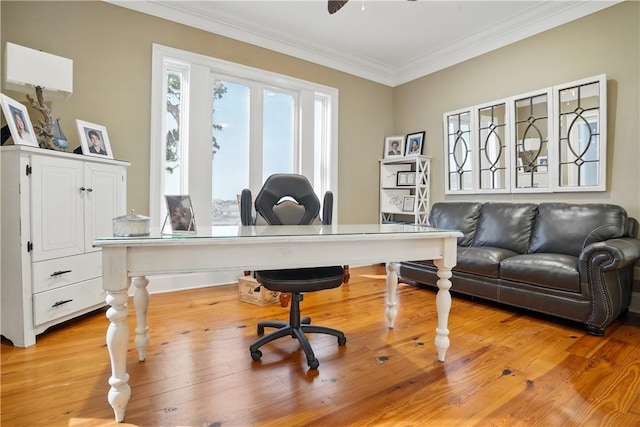 164 Sunrise Dr, Saint Simons Island, GA 31522 - office space with crown molding and light wood-style floors