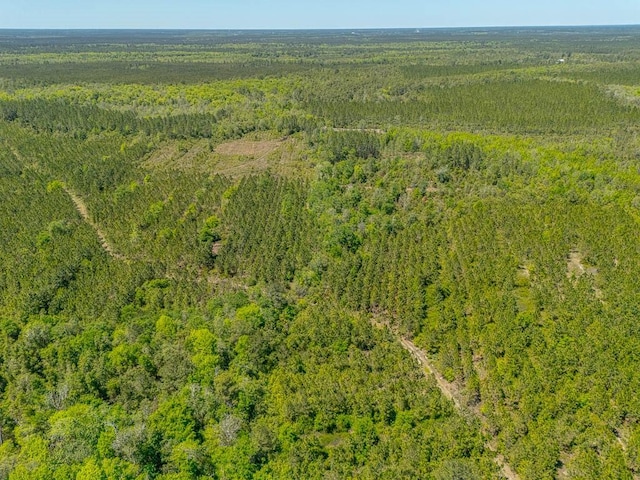aerial view with a forest view