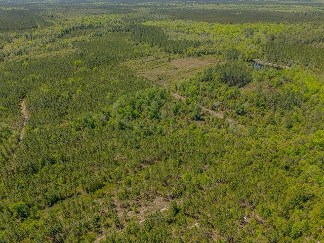 aerial view featuring a forest view