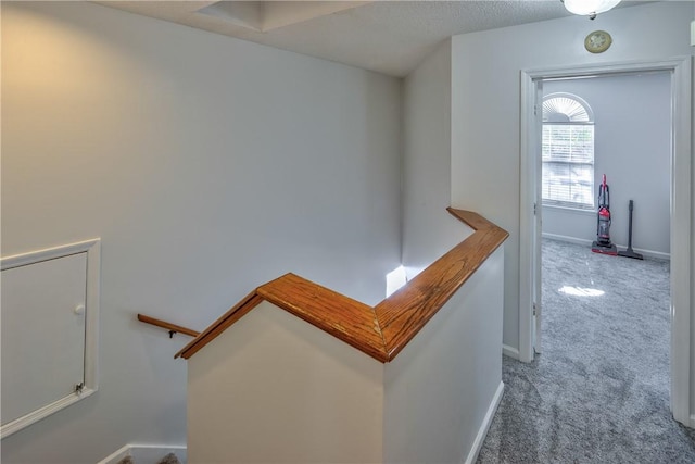 hallway featuring carpet and a textured ceiling