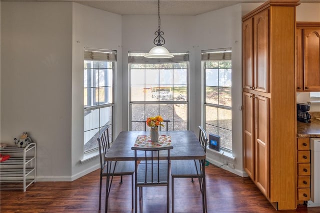 dining area featuring dark hardwood / wood-style flooring