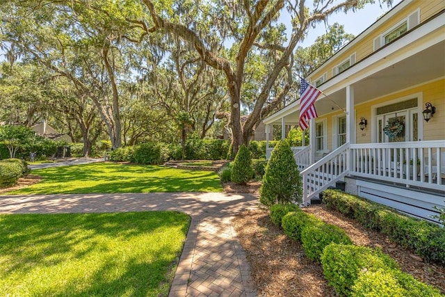 213 Five Pounds Rd, Saint Simons Island, GA 31522 - view of grassy yard featuring a porch