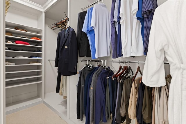 view of spacious closet