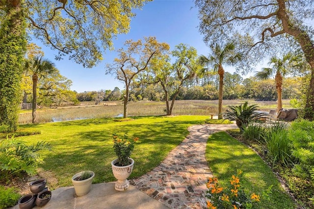 view of yard with a water view