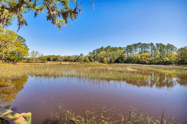 property view of water