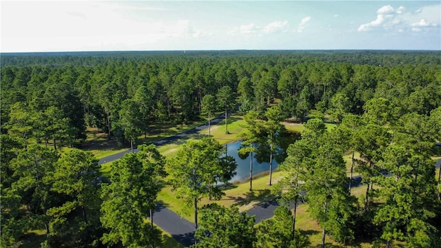 Listing photo 3 for LOT577 Coopers Pt, Townsend GA 31331