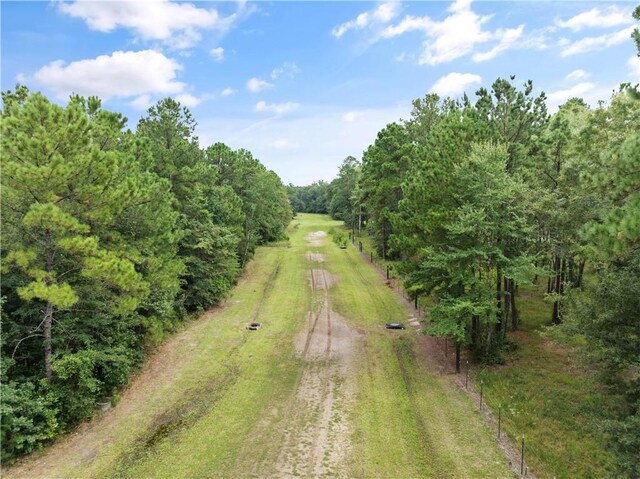 5406 Old Jesup Rd, Brunswick, GA 31525 - photo 62
