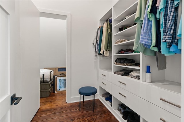 spacious closet with dark wood-type flooring