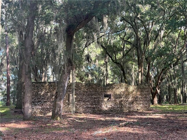 LOT14 Carnochan Dr, Darien, GA 31305 - photo 17