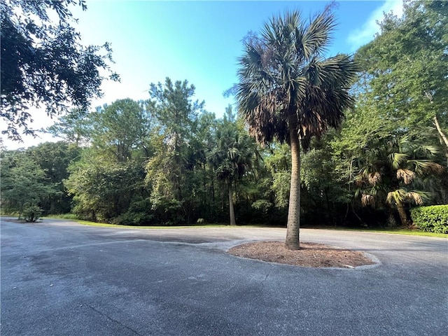 LOT14 Carnochan Dr, Darien GA, 31305 land for sale