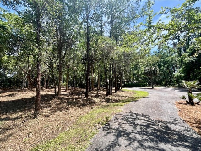 LOT14 Carnochan Dr, Darien, GA 31305 - photo 7