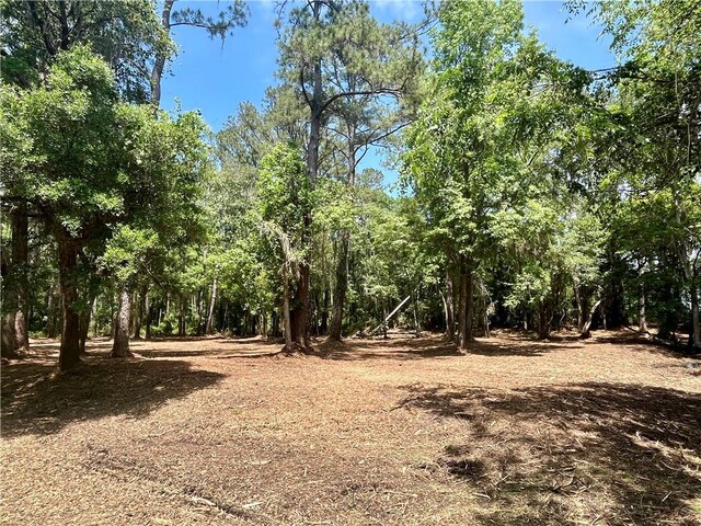 LOT14 Carnochan Dr, Darien, GA 31305 - photo 6