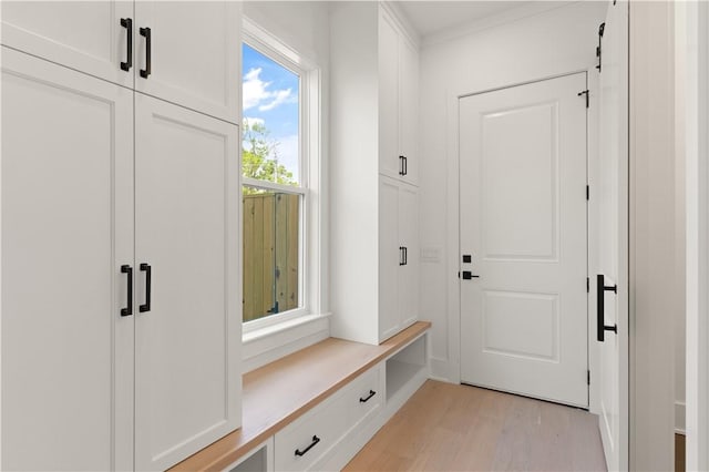 mudroom with light wood-type flooring
