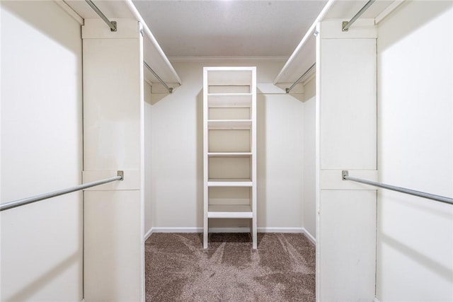 walk in closet with dark colored carpet