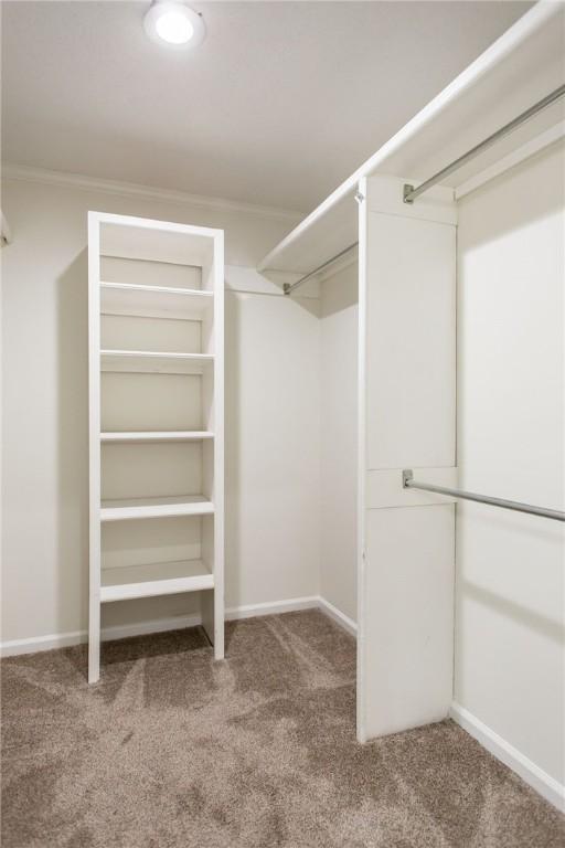 walk in closet featuring carpet floors