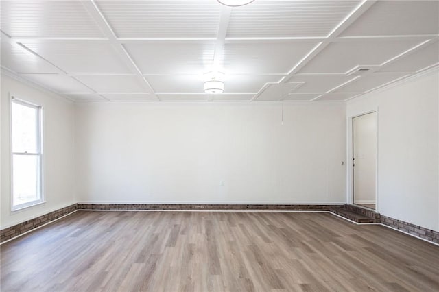 empty room with hardwood / wood-style flooring