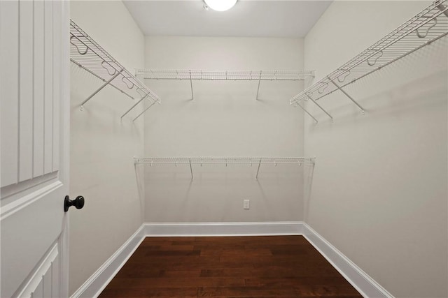 105 Gascoigne Ave Unit 204, Saint Simons Island, GA 31522 - walk in closet with dark wood-type flooring