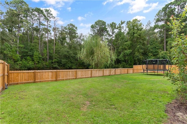 view of yard featuring a trampoline