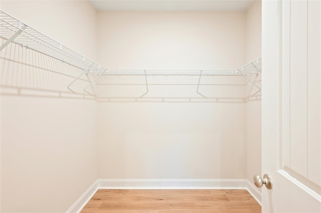 walk in closet featuring light wood-type flooring