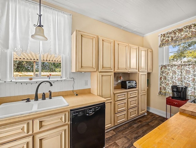 kitchen featuring dark wood-type flooring, ornamental molding, dishwasher, and sink