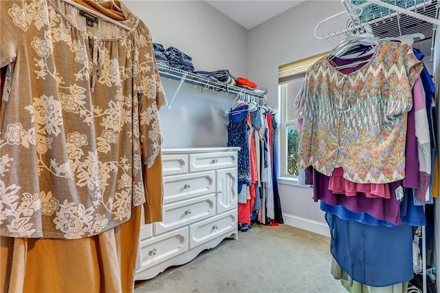 62 Wellington Cir, Brunswick, GA 31525 - spacious closet with carpet