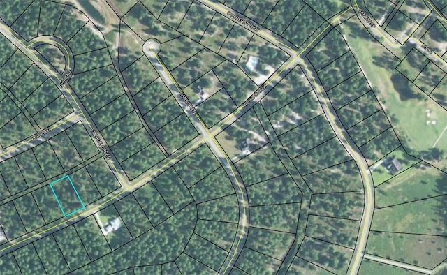 Listing photo 3 for LOT684 Wood Stork Dr NE, Shellman Bluff GA 31331