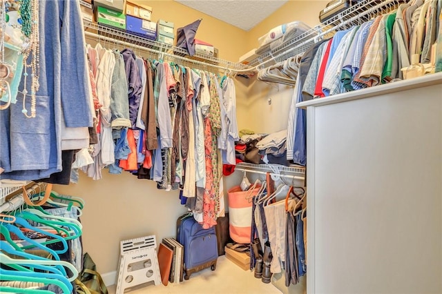 view of spacious closet