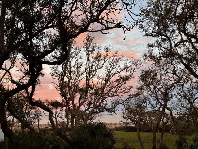 view of nature at dusk